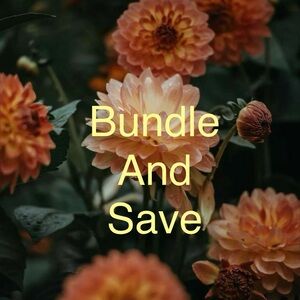 20% or more on 2+ Items!